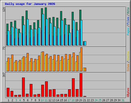 Daily usage for January 2026