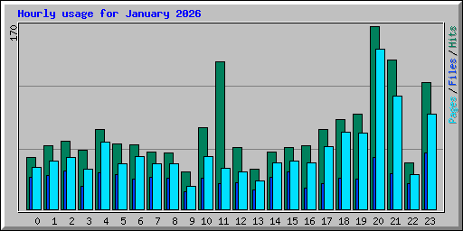 Hourly usage for January 2026